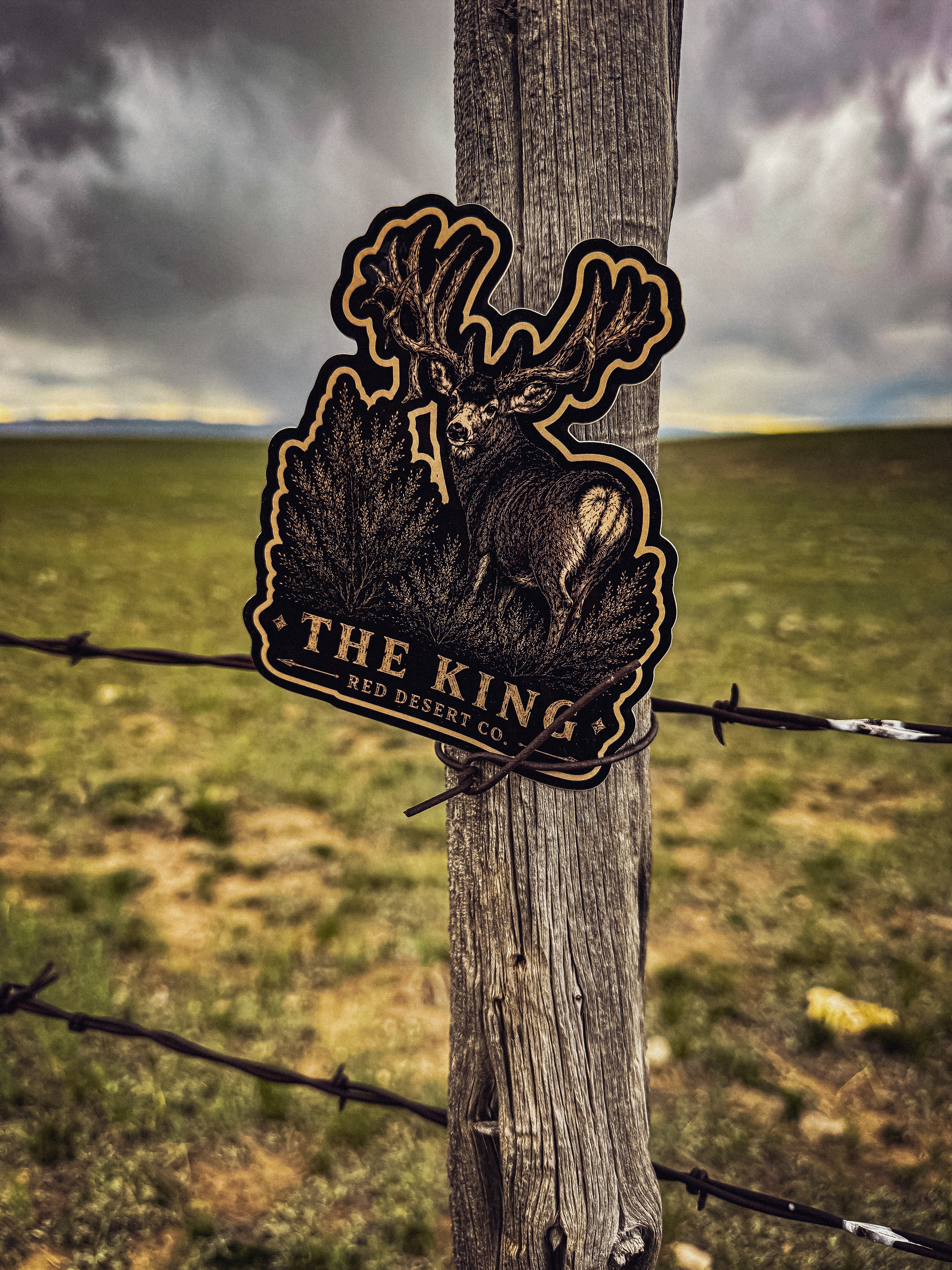 THE KING STICKER